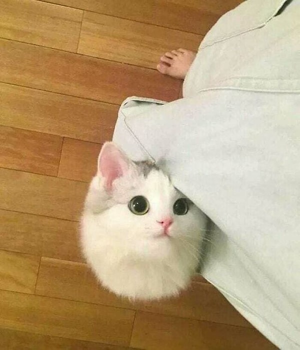 3. И как тут устоять