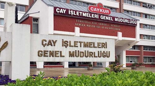 ÇAYKUR'un İçler Acısı Durumu: 20 Ton Çay İmha Edildi, 122 Bin Ton Küflenmek Üzere