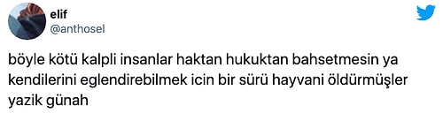 Böyle Kutlama Olmaz Olsun! Yeni Yılda Atılan Havai Fişekler Kuş Katliamına Neden Oldu