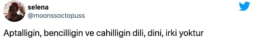 Böyle Kutlama Olmaz Olsun! Yeni Yılda Atılan Havai Fişekler Kuş Katliamına Neden Oldu