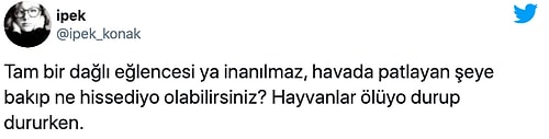 Böyle Kutlama Olmaz Olsun! Yeni Yılda Atılan Havai Fişekler Kuş Katliamına Neden Oldu