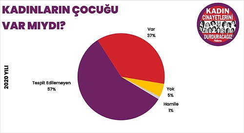 2020'de 300 Kadın Öldürüldü, 171 Kadın Şüpheli Şekilde Ölü Bulundu