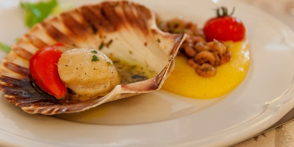 Deniz Tarağı Tarifi: Farklı Lezzetler Denemek İsteyenlere Özel Deniz Tarağı Nasıl Yapılır?