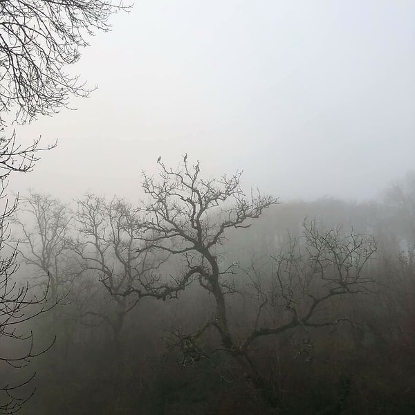 14. Разместил это в группе по наблюдению за птицами, подумав, что это потрясающая фотография. Ни одному человеку этот снимок не понравился. Должно быть он хуже, чем я думал.