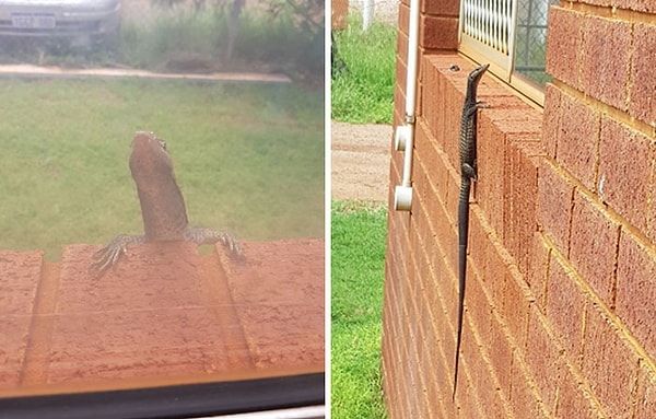 16. Этот парень однажды преследовал меня на работе.