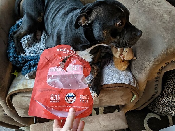 5. Этим утром, пока мой хозяин спал, я съел 2 пакета куриных сердечек, 2 пакета сырого печенья. 1 пакет сублимированной печени. 12 маленьких зубных жевательных таблеток. 3/4 жевательной кости. 1/4 пакета сухого корма для собак весом 3 кг. Вроде все....но это не точно..