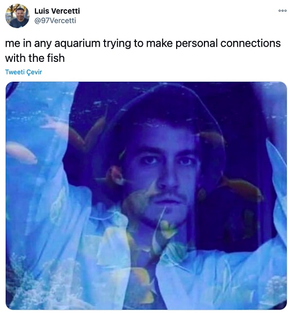 8. "Herhangi bir akvaryumda balıklarla kişisel bir bağlantı kurmaya çalışırken ben."