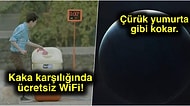 Acayip Bilgiler Kuşağı: Beyninizde Minik Fırtınalar Kopmasına Neden Olacak 15 İlginç Bilgi