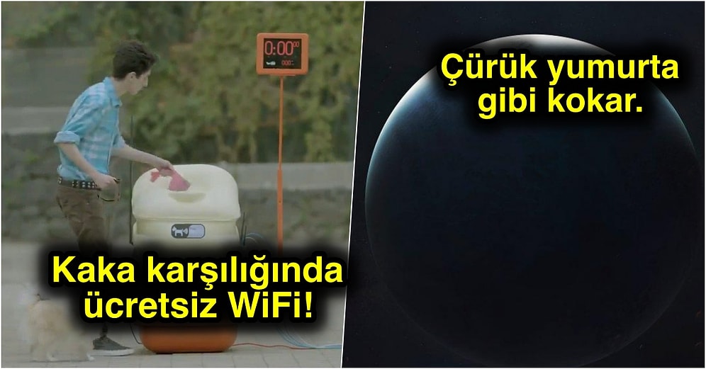 Acayip Bilgiler Kuşağı: Beyninizde Minik Fırtınalar Kopmasına Neden Olacak 15 İlginç Bilgi