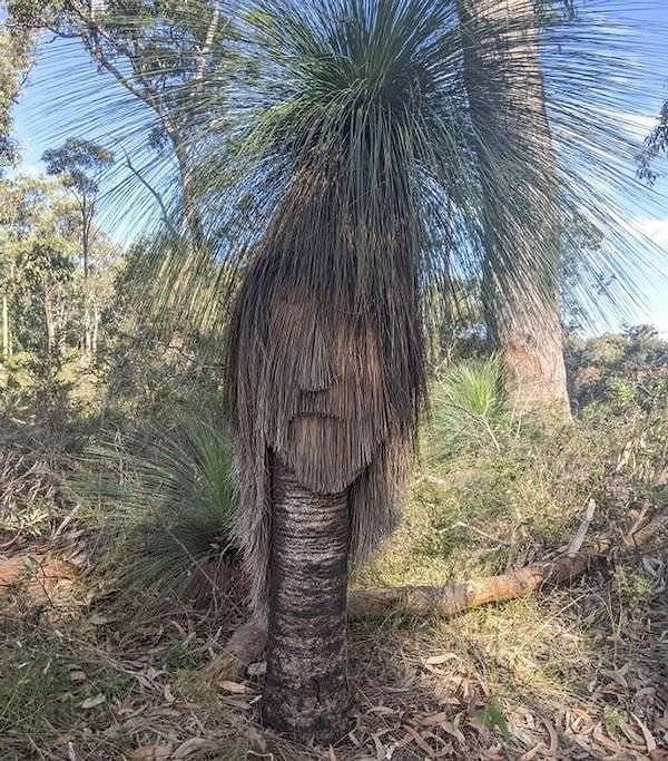 16. Куда лучше когда так...живенько!