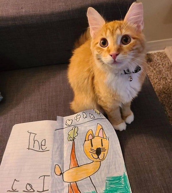 6. "Я работаю воспитательницей в детском саду и часто рассказываю детям о своем коте Тедди. Сегодня одна из девочек в саду нарисовала моего пушистого друга. Это так трогательно!"