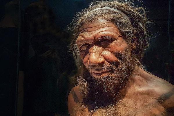 Bu insan türlerinden Avrupa ve Batı Asya'da yaşayanlara Neandertaller adı verildi.