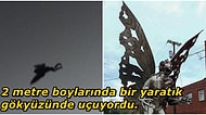 2 Metrelik Boyu ve Gri Renkli Devasa Kanatları ile Bir Dönemin Korku Salan Şehir Efsanesi Güve Adam