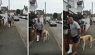 Topallayan Köpeği İçin 300 Pound Veteriner Parası Harcayan Adam, Köpeğin Kendisini Taklit Ettiğini Öğrendi