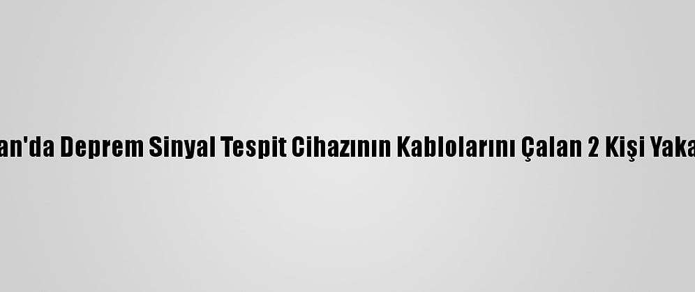Batman'da Deprem Sinyal Tespit Cihazının Kablolarını Çalan 2 Kişi Yakalandı
