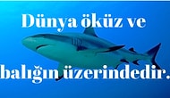 Bu Hadisleri Okuyanlar Çok Şaşıracak! Deve Sidiği İçin, Din Değiştireni Öldürün, Gemiye Binmeyin...