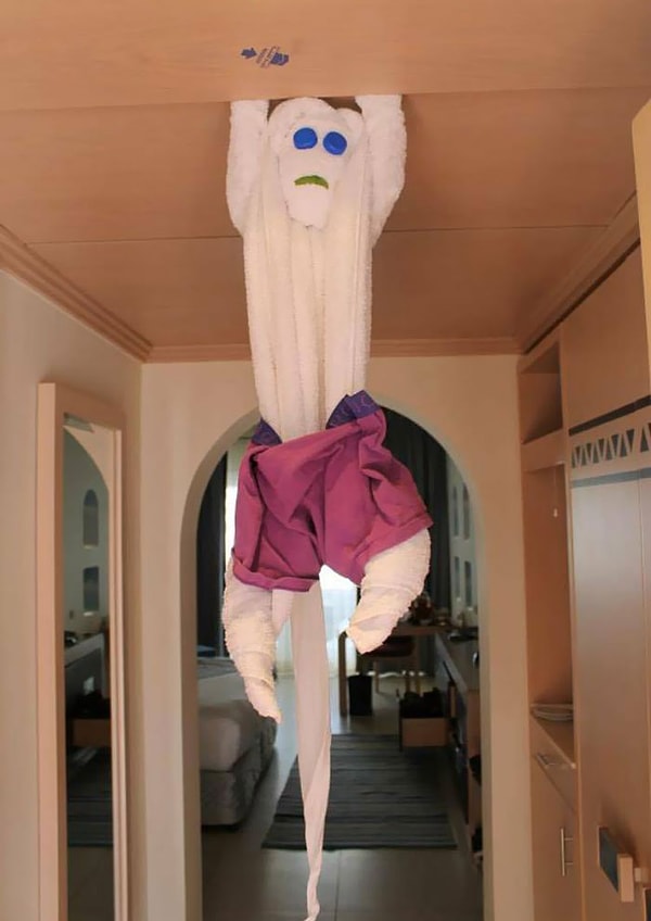 3. Уборщица в отеле в Египте сделала это полотенце-обезьяну и одела в на нее мои грязные боксеры