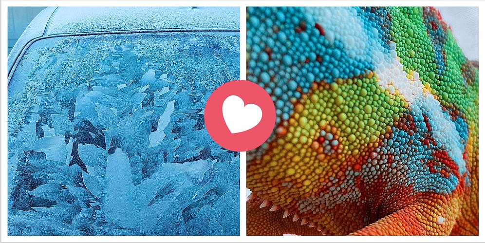 Красота природы Земли никогда не перестает нас удивлять! (20 фото)