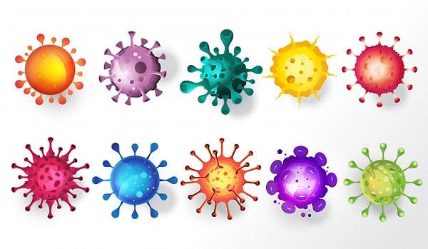 Virüsler, bir çekirdek ile bir kabuktan oluşur.
