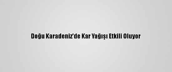 Doğu Karadeniz'de Kar Yağışı Etkili Oluyor