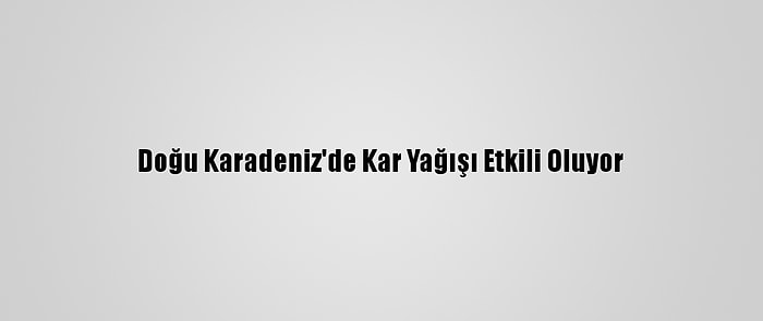 Doğu Karadeniz'de Kar Yağışı Etkili Oluyor