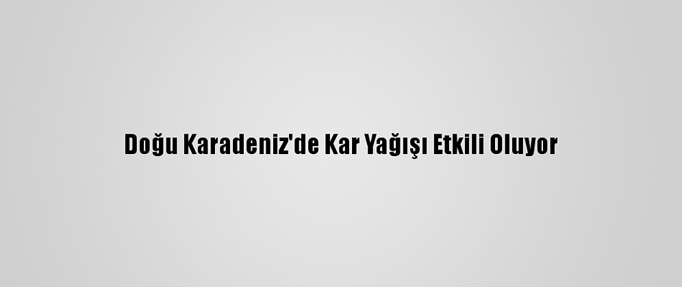 Doğu Karadeniz'de Kar Yağışı Etkili Oluyor