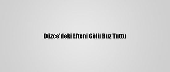 Düzce'deki Efteni Gölü Buz Tuttu