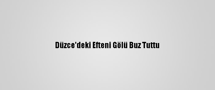 Düzce'deki Efteni Gölü Buz Tuttu