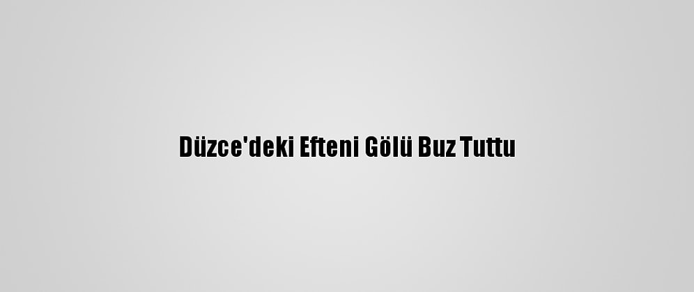 Düzce'deki Efteni Gölü Buz Tuttu