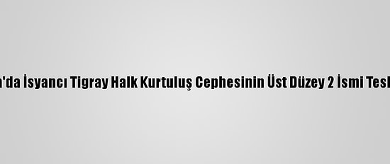 Etiyopya'da İsyancı Tigray Halk Kurtuluş Cephesinin Üst Düzey 2 İsmi Teslim Oldu