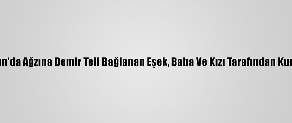 Samsun'da Ağzına Demir Teli Bağlanan Eşek, Baba Ve Kızı Tarafından Kurtarıldı