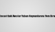 Erzincan'daki Avcılar Yaban Hayvanlarına Yem Bıraktı