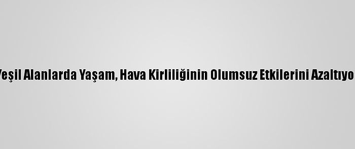 Yeşil Alanlarda Yaşam, Hava Kirliliğinin Olumsuz Etkilerini Azaltıyor