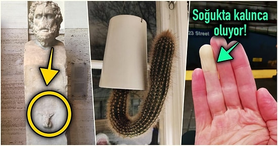 Hep Aynı Şeyleri Görmekten Sıkılanları İlginçliğe Doyuracak Birbirinden Acayip 17 Yeni Görsel