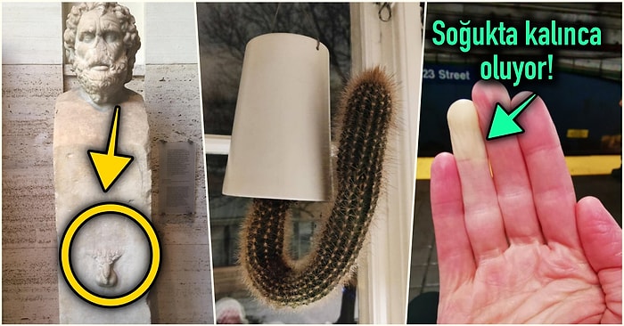 Hep Aynı Şeyleri Görmekten Sıkılanları İlginçliğe Doyuracak Birbirinden Acayip 17 Yeni Görsel