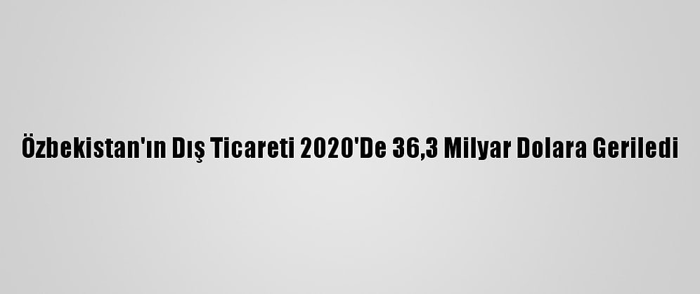 Özbekistan'ın Dış Ticareti 2020'De 36,3 Milyar Dolara Geriledi