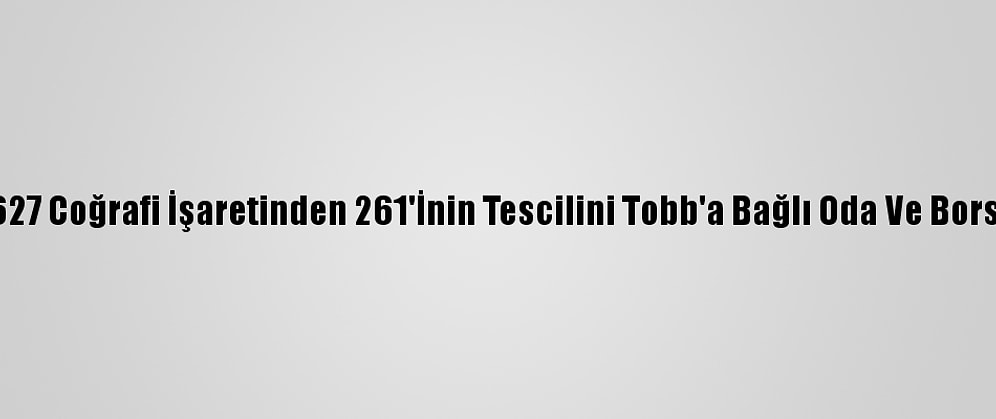 Türkiye'nin 627 Coğrafi İşaretinden 261'İnin Tescilini Tobb'a Bağlı Oda Ve Borsalar Yaptırdı