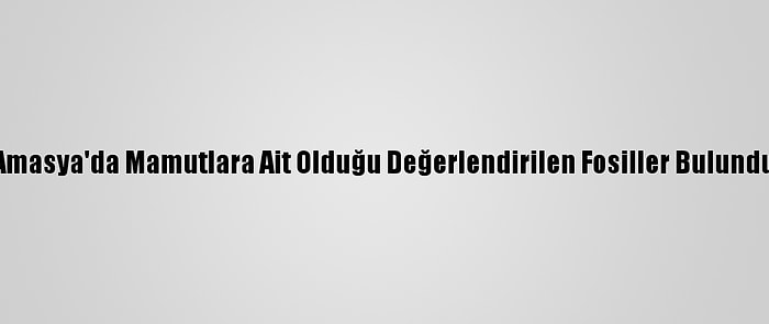 Amasya'da Mamutlara Ait Olduğu Değerlendirilen Fosiller Bulundu