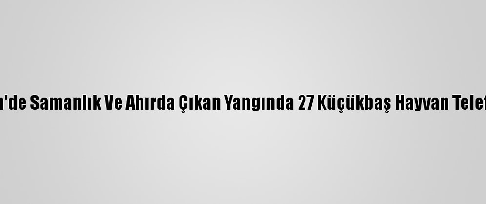 Artvin'de Samanlık Ve Ahırda Çıkan Yangında 27 Küçükbaş Hayvan Telef Oldu