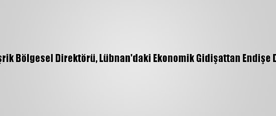 Dünya Bankası Maşrik Bölgesel Direktörü, Lübnan'daki Ekonomik Gidişattan Endişe Duyduğunu Bildirdi