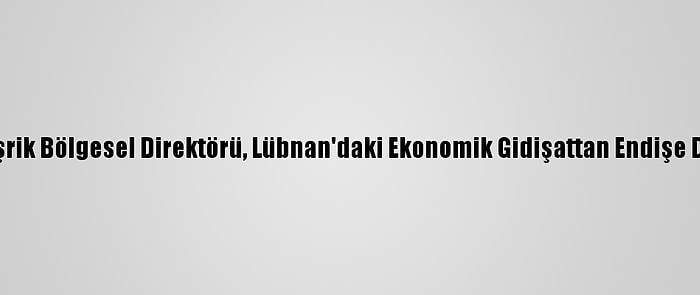 Dünya Bankası Maşrik Bölgesel Direktörü, Lübnan'daki Ekonomik Gidişattan Endişe Duyduğunu Bildirdi