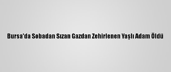 Bursa'da Sobadan Sızan Gazdan Zehirlenen Yaşlı Adam Öldü