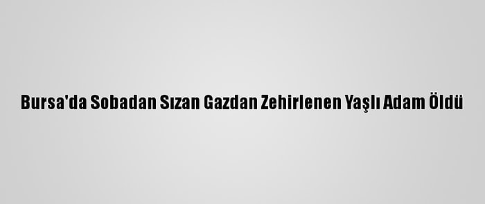 Bursa'da Sobadan Sızan Gazdan Zehirlenen Yaşlı Adam Öldü