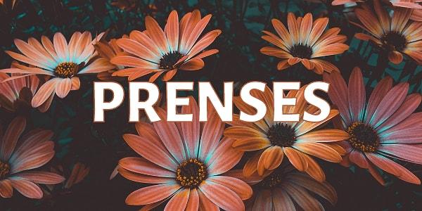14. "PRENSES" kelimesinde kaç tane hece vardır?