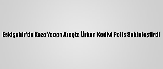 Eskişehir'de Kaza Yapan Araçta Ürken Kediyi Polis Sakinleştirdi