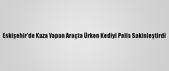 Eskişehir'de Kaza Yapan Araçta Ürken Kediyi Polis Sakinleştirdi