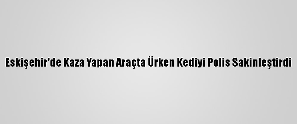 Eskişehir'de Kaza Yapan Araçta Ürken Kediyi Polis Sakinleştirdi