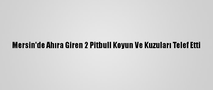 Mersin'de Ahıra Giren 2 Pitbull Koyun Ve Kuzuları Telef Etti