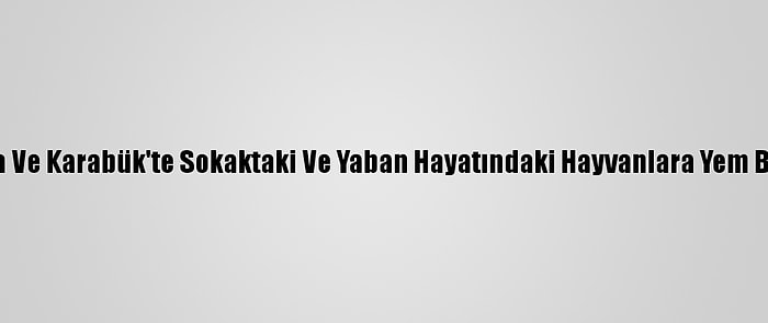 Sakarya Ve Karabük'te Sokaktaki Ve Yaban Hayatındaki Hayvanlara Yem Bırakıldı