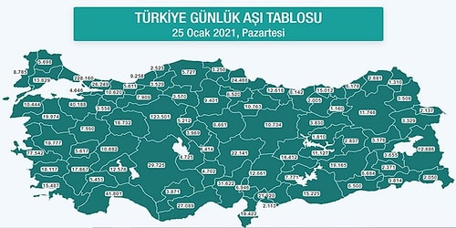 Türkiye'nin Aşı Haritası Erişime Açıldı